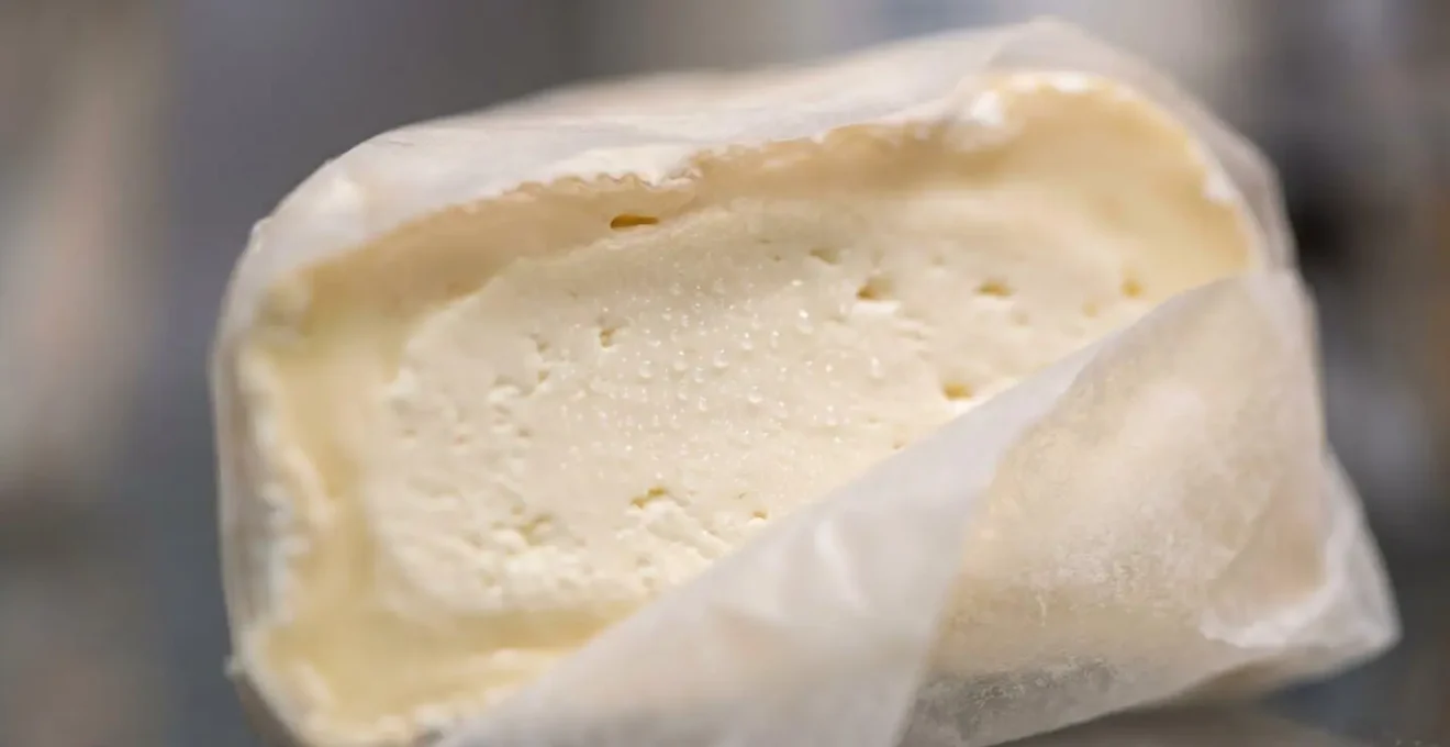Fromage à pâte molle conservé dans une boîte avec papier spécial dans le bac à légumes du réfrigérateur