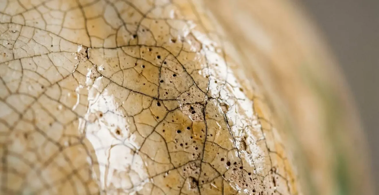 Gros plan sur la surface d'une céramique en barbotine montrant les craquelures de l'émail et la texture poreuse de la terre cuite