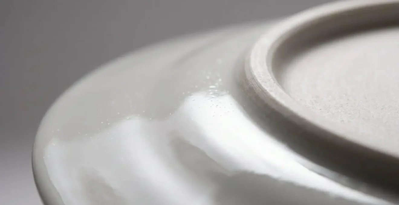 Gros plan macro sur la surface vitrifiée d'une assiette en porcelaine illustrant sa résistance aux chocs thermiques