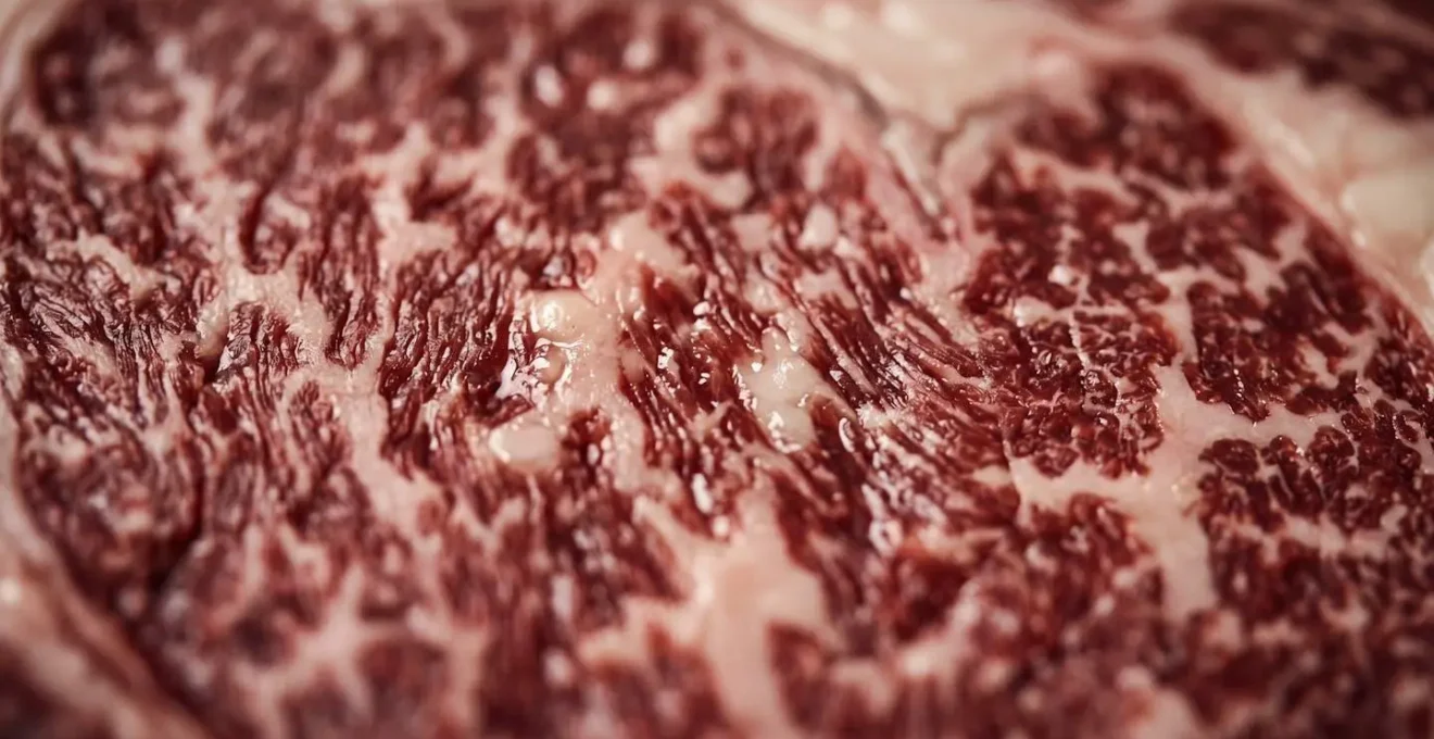 Détail macro du persillage et du gras intramusculaire d'une viande de qualité